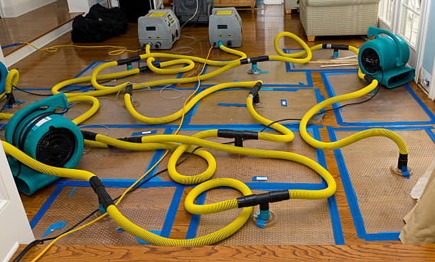 Professional Water Damage Restoration technician working in Soda Springs, ID